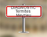 Diagnostic Termite AC Environnement à Meyzieu